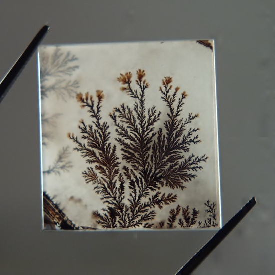  Superb Quality Natural Scenic Dendritic Agate India  Litnon.com