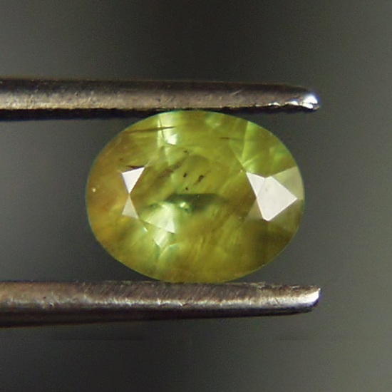 Jim Bought Rare Inclusions Old Mine Russian Demantoid Garnet 0.63 ct  Litnon.com