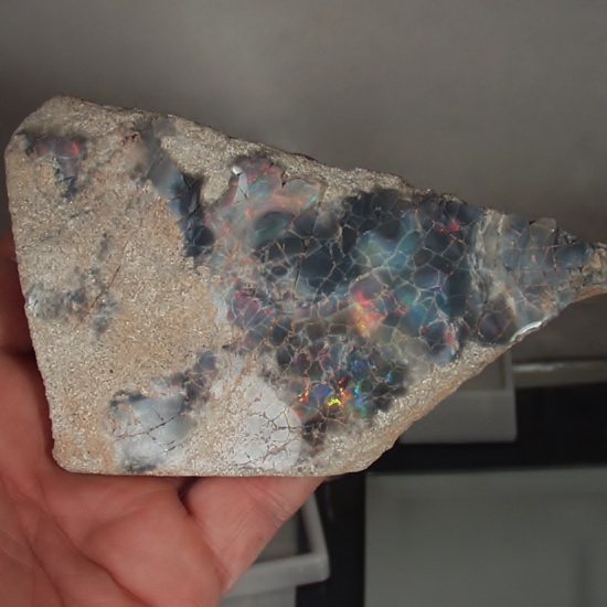 Cabinet Size Colorful Queensland Black Opal Matrix Specimen  Litnon.com