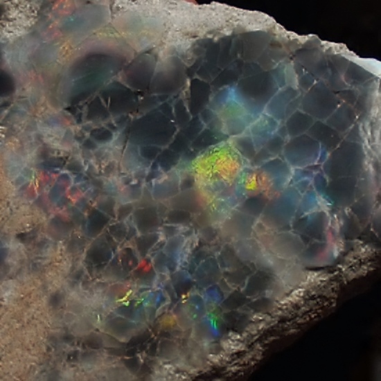 Cabinet Size Colorful Queensland Black Opal Matrix Specimen  Litnon.com