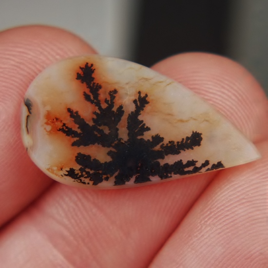 Rare Fine Quality Natural Dendritic Agate India Litnon.com