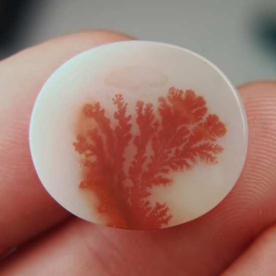  Rare Red Color Dendritic Agate India 24 x 21 mm  Litnon.com