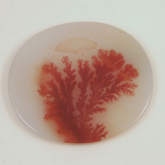  Rare Red Color Dendritic Agate India 24 x 21 mm  Litnon.com