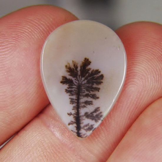 Rare and Fine Quality Natural Dendritic Agate 22 x 16 mm  Litnon.com