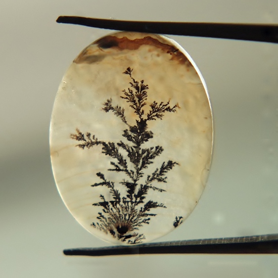 Rare Fine Quality Natural Dendritic Agate India  Litnon.com