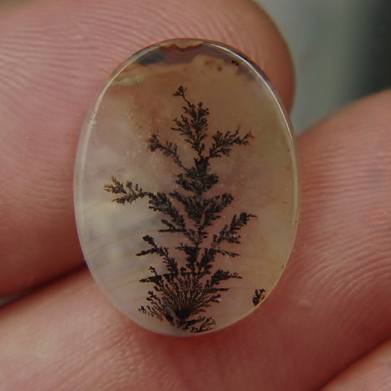 Rare Fine Quality Natural Dendritic Agate India  Litnon.com