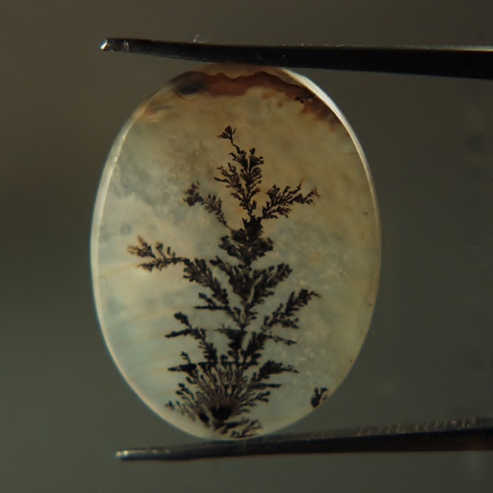 Rare Fine Quality Natural Dendritic Agate India  Litnon.com