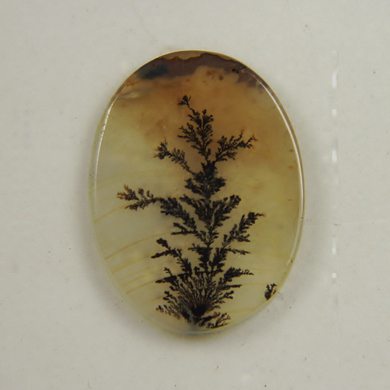 Rare Fine Quality Natural Dendritic Agate India  Litnon.com