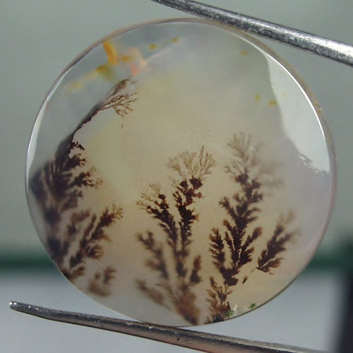  Rare Quality Scenic Dendritic Agate India 22 mm  Litnon.com