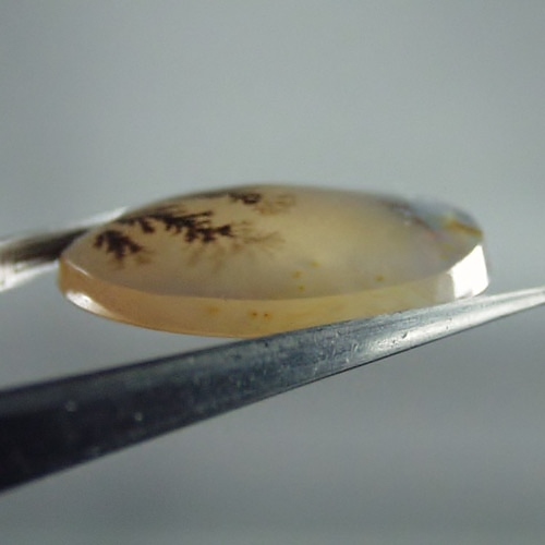  Rare Quality Scenic Dendritic Agate India 22 mm  Litnon.com