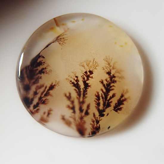  Rare Quality Scenic Dendritic Agate India 22 mm  Litnon.com