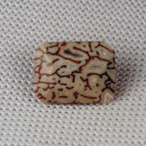 Unique Faceted Dinosaur Bone Fossil Montana 2.02 ct  Litnon.com