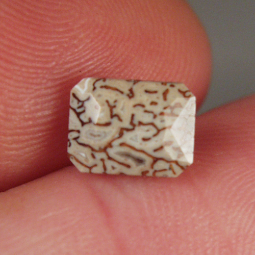 Unique Faceted Dinosaur Bone Fossil Montana 2.02 ct  Litnon.com