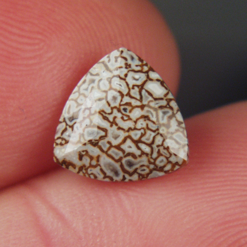 Unique Faceted Dinosaur Bone Fossil Montana 3.44 ct  Litnon.com