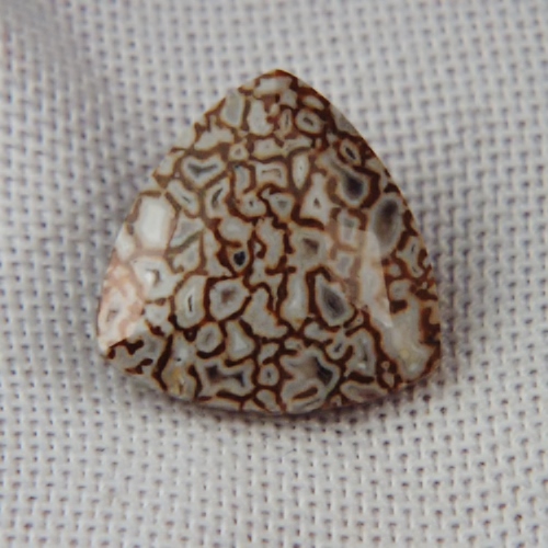 Unique Faceted Dinosaur Bone Fossil Montana 3.44 ct  Litnon.com