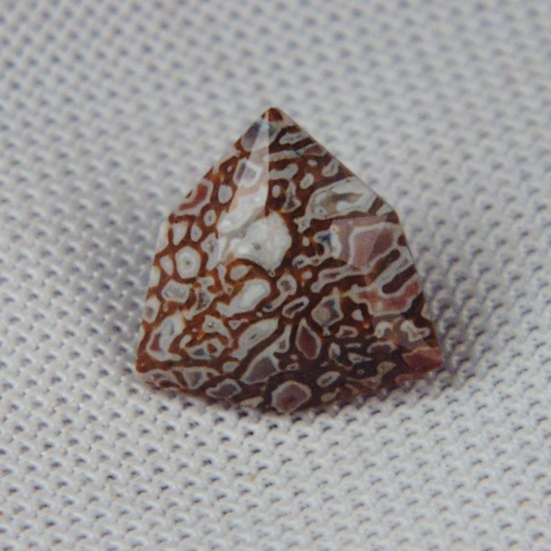 Unique Faceted Dinosaur Bone Fossil Montana 1.84 ct  Litnon.com