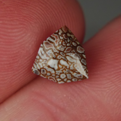 Unique Faceted Dinosaur Bone Fossil Montana 1.84 ct  Litnon.com