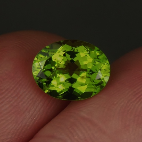  Bright and Pretty San Carlos Arizona Peridot 3.63 ct  Litnon.com
