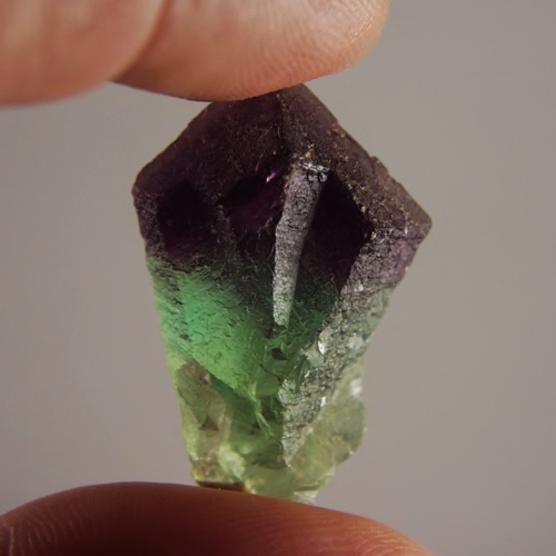 Special Specimen Gem Grade Bi-Color Fluorite Scepter  Litnon.com