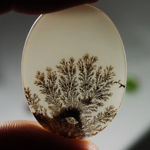  Big and Rare Fine Quality and Detail Dendritic Agate India  Litnon.com