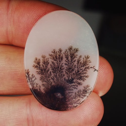  Big and Rare Fine Quality and Detail Dendritic Agate India  Litnon.com