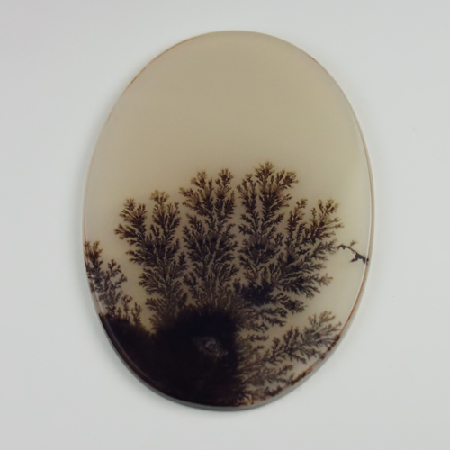  Big and Rare Fine Quality and Detail Dendritic Agate India  Litnon.com