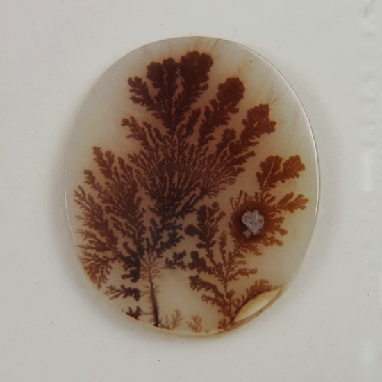  Rare Quality Scenic Dendritic Agate India  Litnon.com