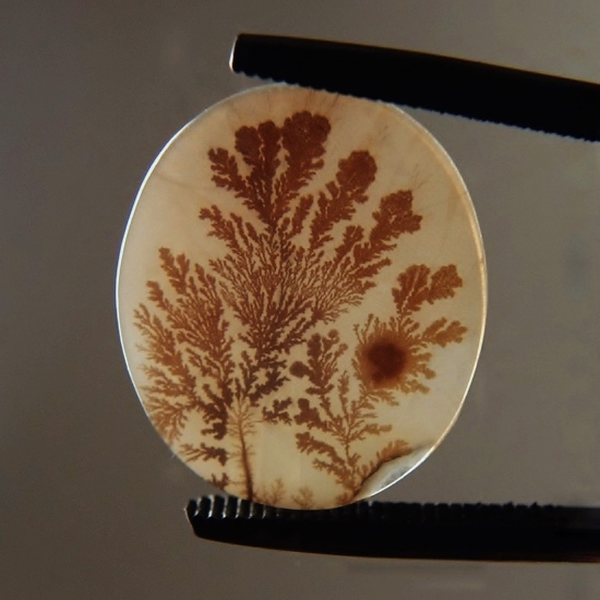  Rare Quality Scenic Dendritic Agate India  Litnon.com