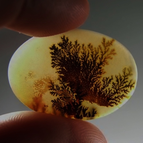  Rare and Fine Quality Natural Dendritic Agate India  Litnon.com