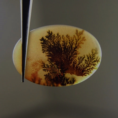  Rare and Fine Quality Natural Dendritic Agate India  Litnon.com