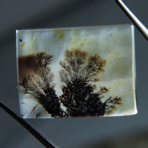 Rare and Fine Quality Scenic Dendritic Agate India  Litnon.com