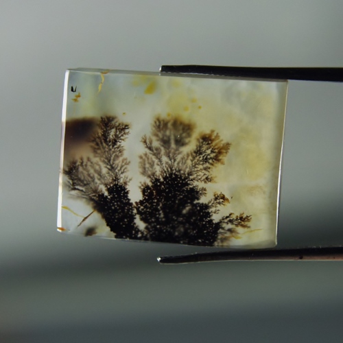 Rare and Fine Quality Scenic Dendritic Agate India  Litnon.com