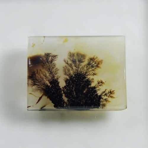 Rare and Fine Quality Scenic Dendritic Agate India  Litnon.com