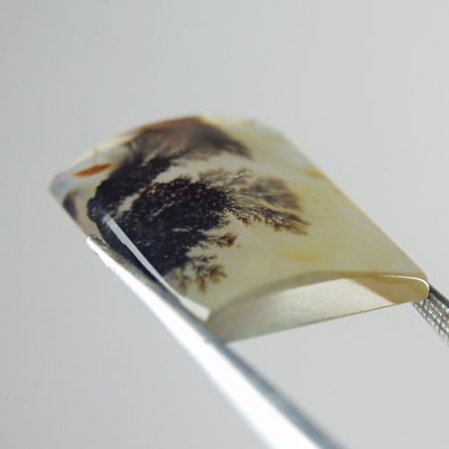 Rare and Fine Quality Scenic Dendritic Agate India  Litnon.com