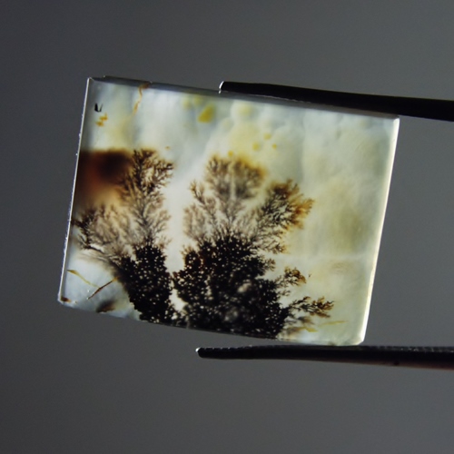 Rare and Fine Quality Scenic Dendritic Agate India  Litnon.com