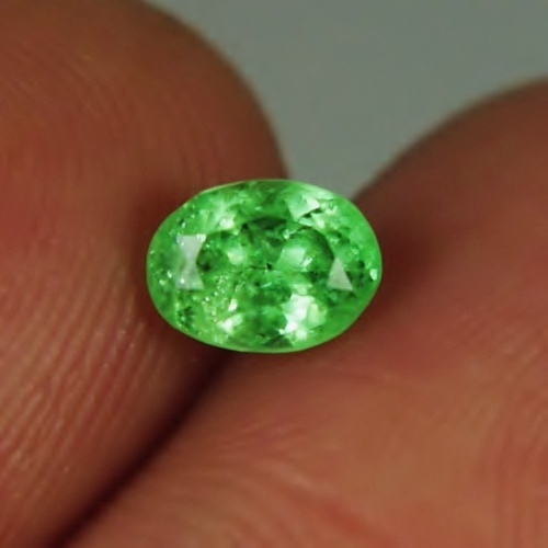 Neon Green Included Tsavorite Green Garnet Kenya  Litnon.com