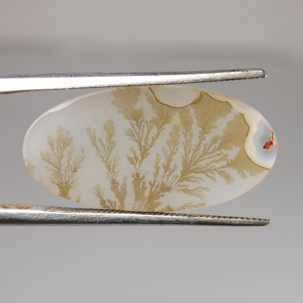 All Natural Fine Quality Dendritic Agate India  Litnon.com