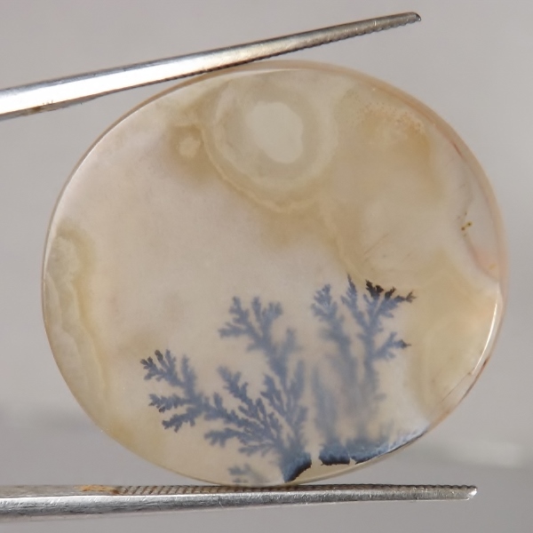 Fine Quality Scenic Oval Fern Dendritic Agate India  Litnon.com