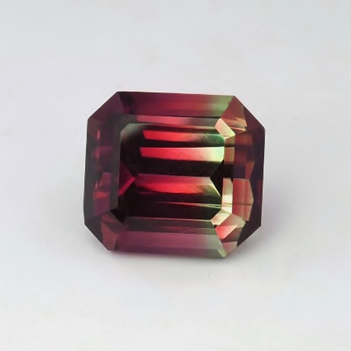 USA Cut Bi-Color Watermelon Tourmaline Nigeria 9.25 ct GLI PAID Litnon.com