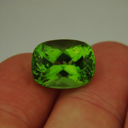 Superb Gem Fine Cut and Color Pakistan Peridot 12.09 ct  Litnon.com