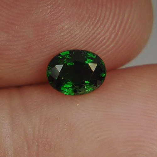 Intense Chrome Green Tsavorite Garnet Kenya 1.01 carats GL Litnon.com