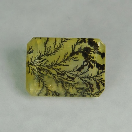 Collectors Quality Natural Dendritic Quartz Brazil 12.89 ct  Litnon.com