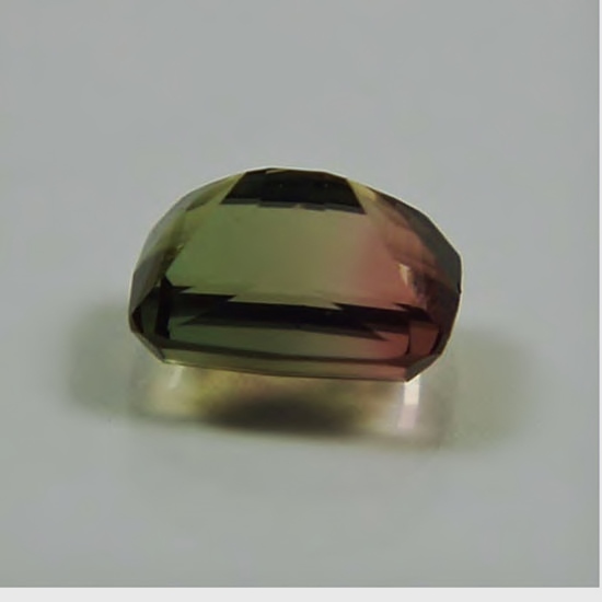 USA Cut Bi Color Cruzeiro Tourmaline Brazil 2.56 ct  Litnon.com