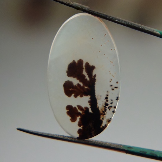  Rare and Fine Quality Scenic Dendritic Agate India  Litnon.com