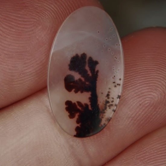 Rare and Fine Quality Scenic Dendritic Agate India  Litnon.com