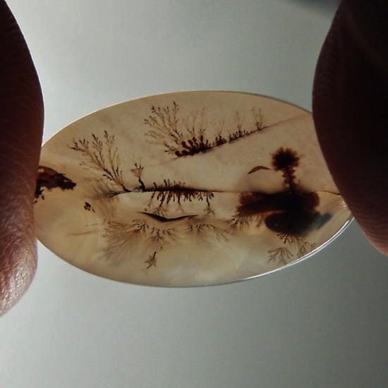 Fine Quality Scenic Dendritic Agate India Litnon.com