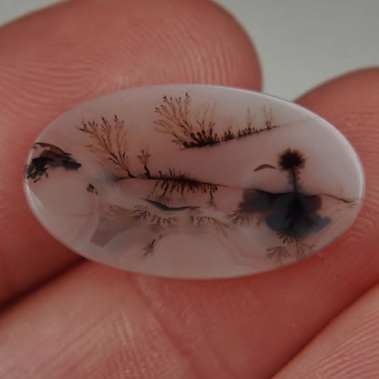 Fine Quality Scenic Dendritic Agate India Litnon.com