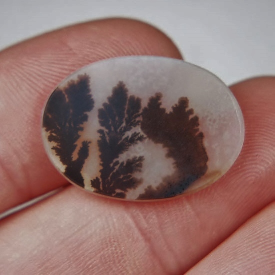 Rare and Fine Quality Scenic Dendritic Agate India  Litnon.com
