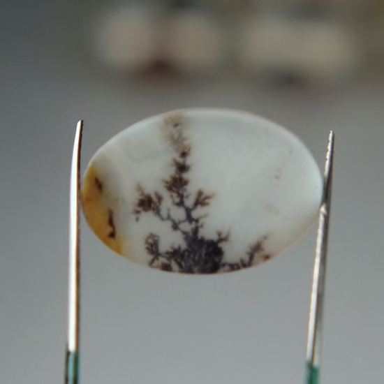 Rare and Fine Quality Scenic Dendritic Agate India Litnon.com
