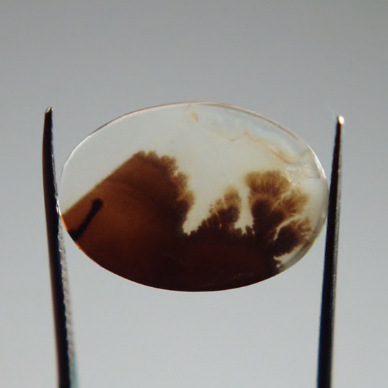 Rare and Fine Quality Scenic Dendritic Agate India  Litnon.com